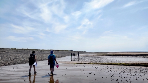 The Bay Beach Clean litter picking