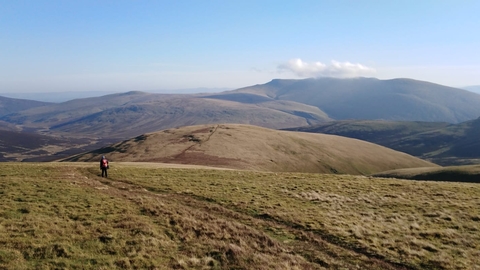 Skiddaw Forest