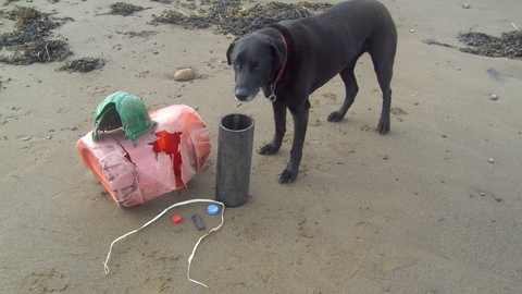 Beach spoils being guarded by Roly the dog