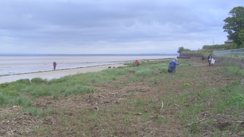Beach Clean volunteers collecting rubbish