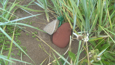 Dog waste bag hidden under rocks on the beach