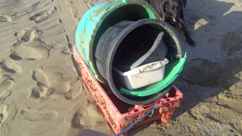 The morning's beach rubbish including 2 huge plastic pots