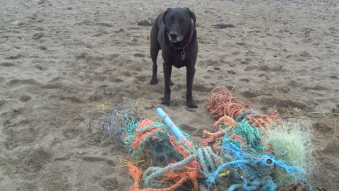 More commercial fishing nets washed up on the beach