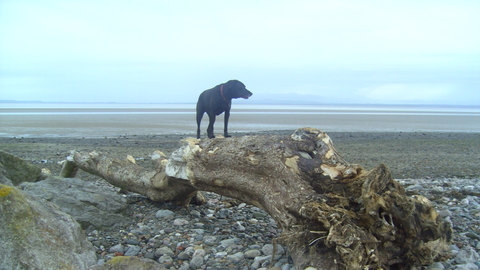 The lovely Grune Point beach