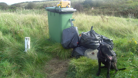 Collected beach debris including a toy truck