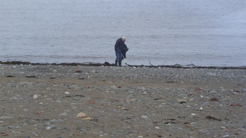 Lone volunteer collecting rubbish