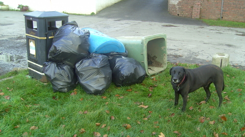 Bags of waste, a large wheelie bin and oil drum ready for the refuse centre