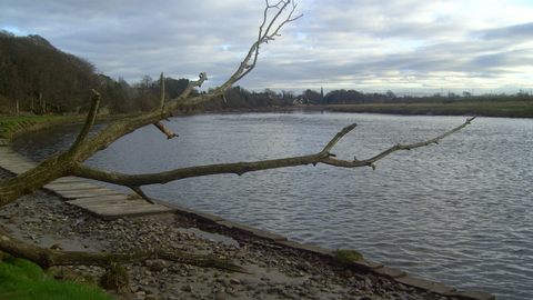 Lovely pic of Rockcliff River bank in prestine condition after a cleanup