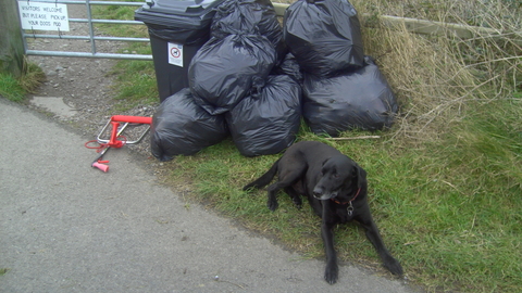 Black bin bags full of spoils removed from the beach and awaiting delivery to the recycling facility