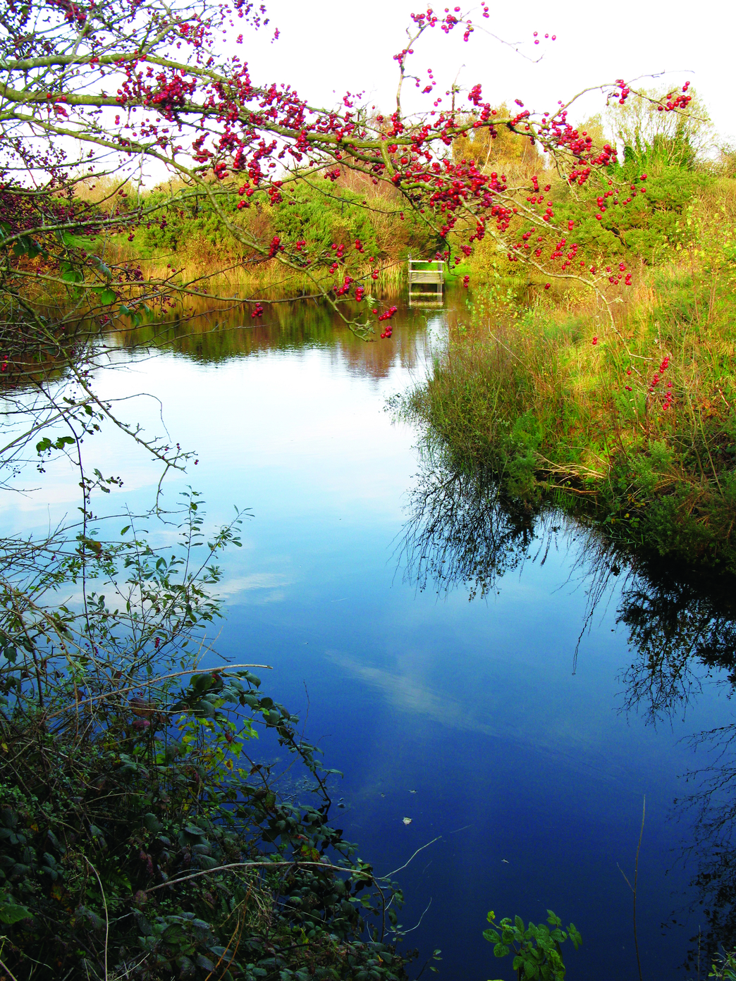 Bowness on Solway | Cumbria Wildlife Trust