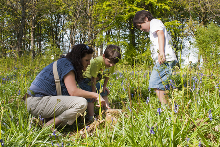 image of family in bluebell wood