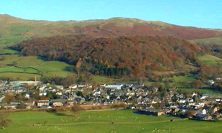 Craggy wood on the edge of Staveley