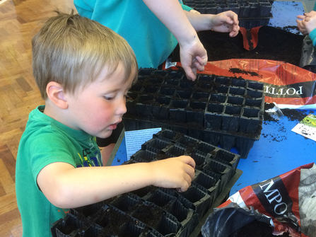 Image of schoolchildren planting wildflower seeds