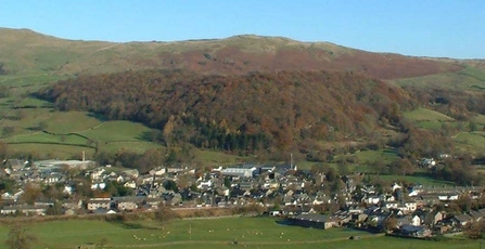 Image of Craggy Wood, Staveley