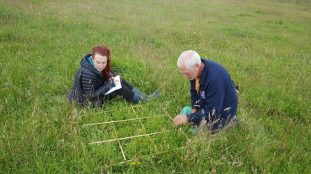 Volunteers surveying the Eycott Hill meadows using a quadrat