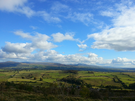 Hutton Roof 2013