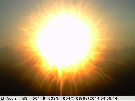 Sun from Still camera at Foulshaw Moss