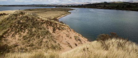 Eskmeal Dunes 2013