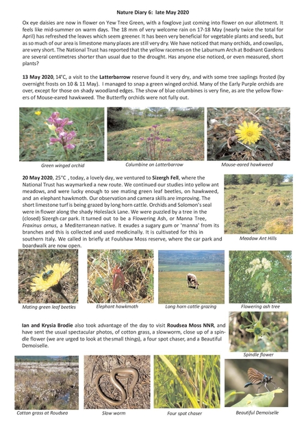 Nature Diary 6 late May 2020 Peter and Sylvia Woodhead page 1