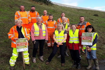 Image of Get Cumbria Buzzing verge work