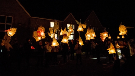 Image of pollinator lantern parade Haltwhistle Get Cumbria Buzzing © Haltwhistle Film Project and Beckstone Primary School