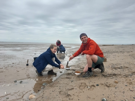 Shore search sediment sampling