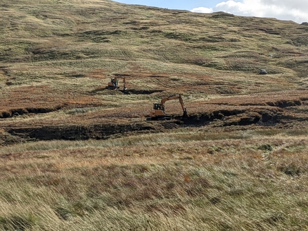 Image of peatland restoration at Armboth Hag, Cumbria (c) Cumbria Wildlife Trust Sean Prokopiw