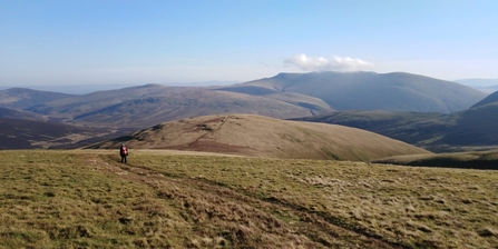 Skiddaw Forest