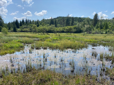 Peatland Assistant Grace Fuller 