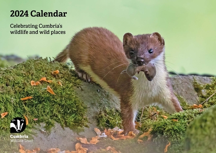 2024 Calendar CWT