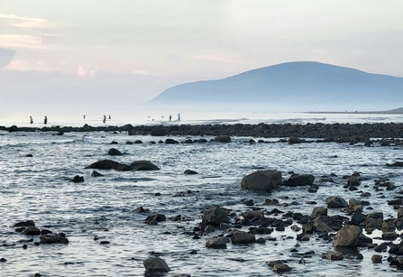 Image of Earnse Bay with swimmers and Black Combe in background