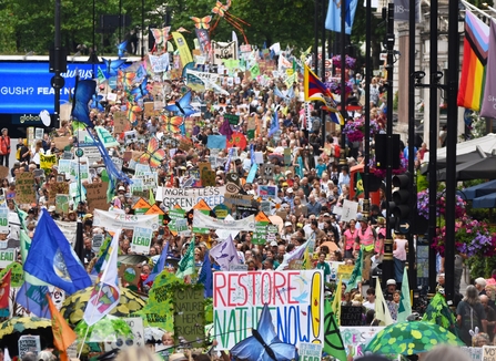 Image of crowds at Restore Nature Now rally in London