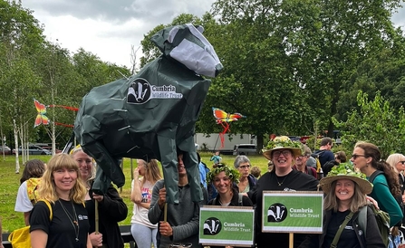 Image of people at rally holding up hand-made Cumbria Wildlife Trust badger 