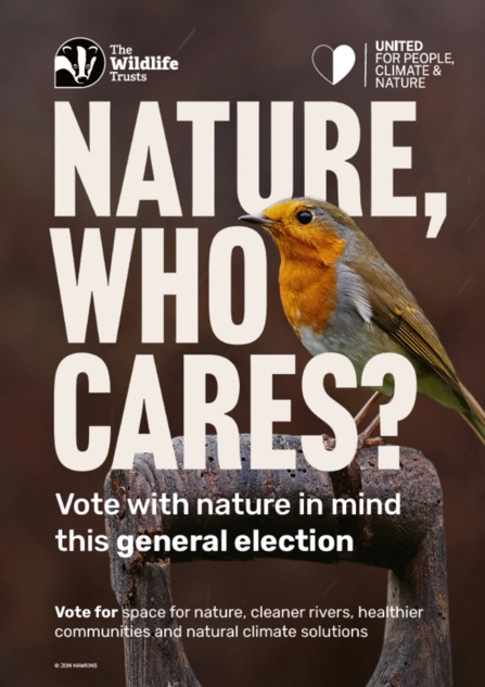 General Election poster - robin colour english