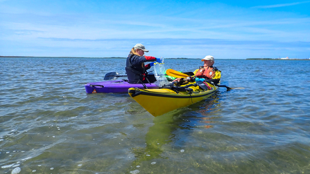 Sea kayakers carrying out seagrass survey in walney channel credit john soady