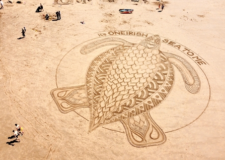 Image of mandala of turtle on beach at St Bees designed by Simon Wheatley