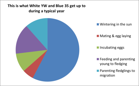 #FoulshawOspreys annual cycle