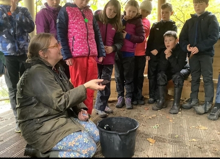 Woman showing a toad to children at a wildlife event