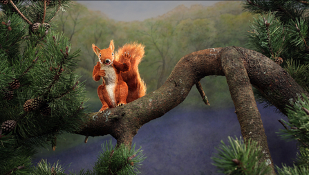 Image of Twiggy the Red Squirrel animation on a branch