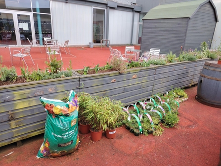 Planters between the cafe and the garden area