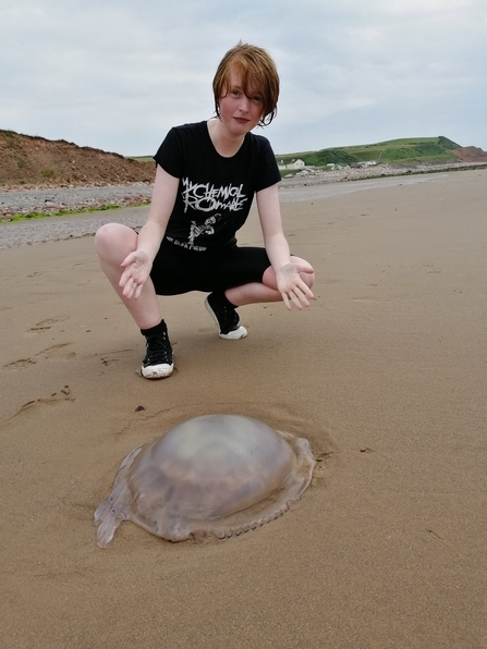 Image of young person on sandy beach and jelly fish credit Elizabeth Bell