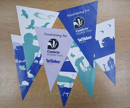 Bunting - community fundraising