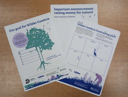 Fundraising planner, target poster and event poster - wilder cumbria