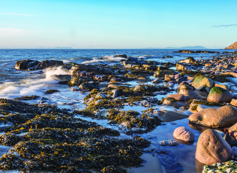 image of parton beach - copyright john fare