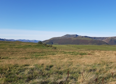 Autumn at Eycott Hill Nature Reserve 