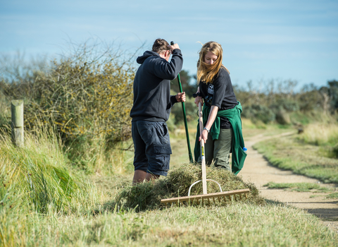 volunteer wildlife trust