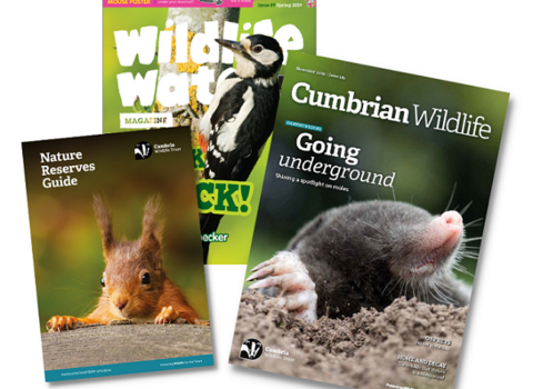 Collage of front covers of Membership magazine, wildlife watch and reserve guide