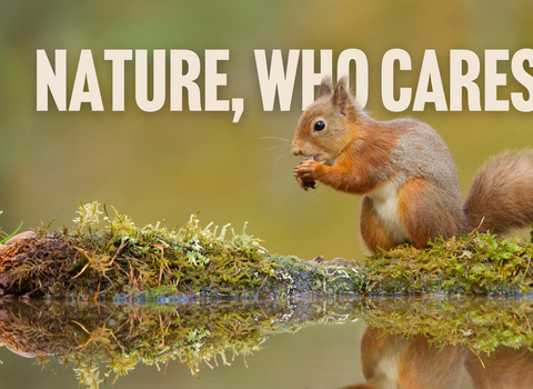 Nature who cares - web page banner General Election 2024