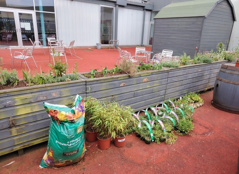 Planters between the cafe and the garden area